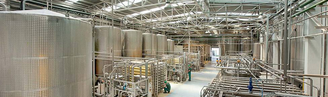 Planta productora